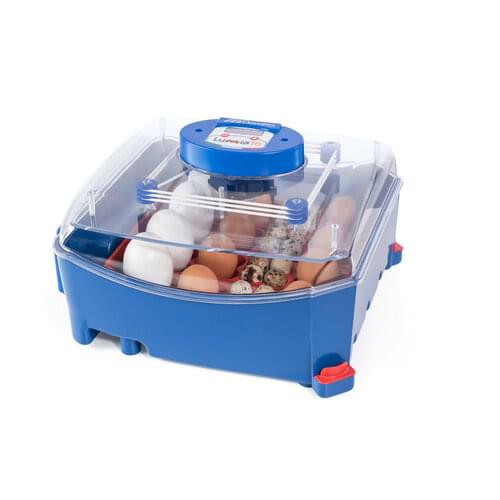 Brutautomaten