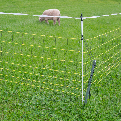 Wolfsabwehrnetze