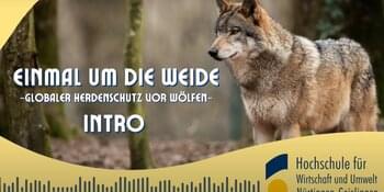 Neuer Podcast: "Einmal um die Weide"
